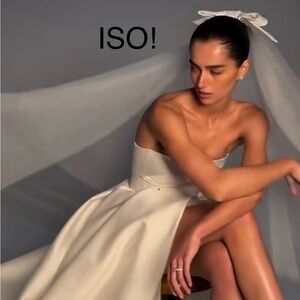 ISO! Monique Lhuillier Veil - Emmanuelle